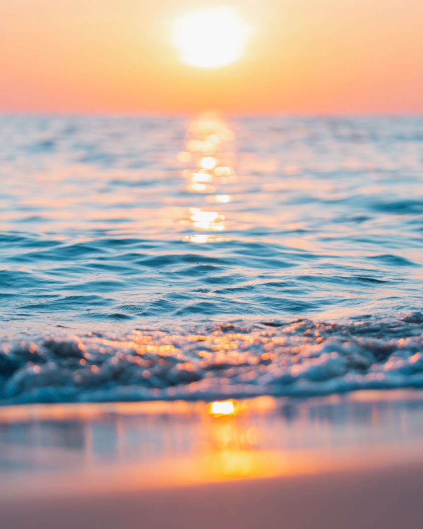 blog